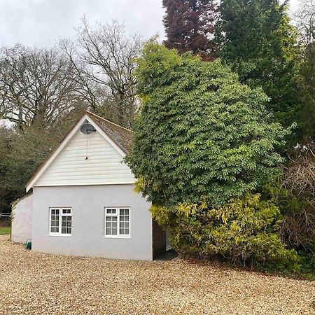 Owl Tree Cottage With Access To Alice Holt Farnham  Exterior photo