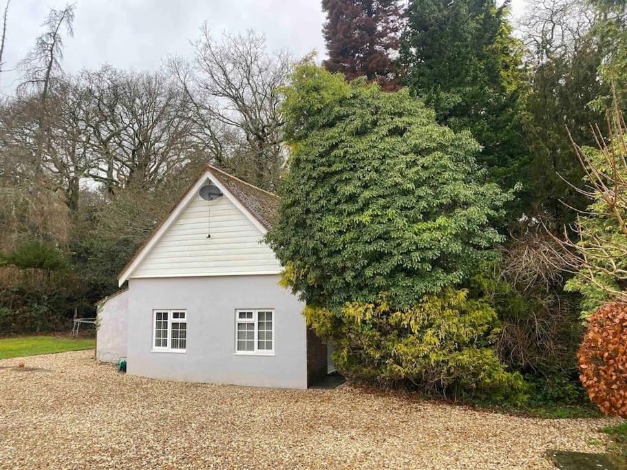 Owl Tree Cottage With Access To Alice Holt Farnham  Exterior photo